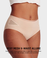Sexy Seamless Mesh Cutout Panty (5 Pack)